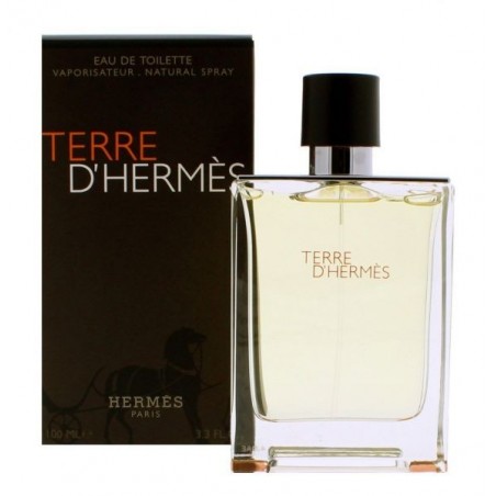 HERMES Terre D'Hermes Eau De Toilette For Men 100ml foto