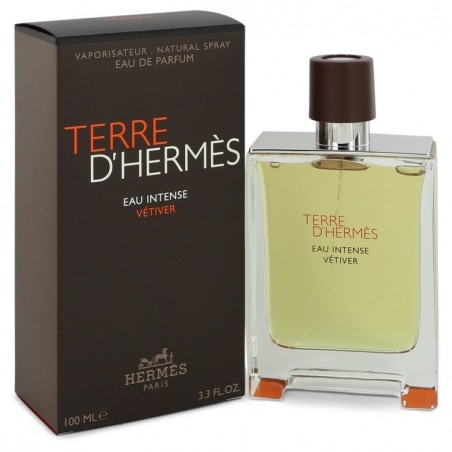 HERMES Terre D'Hermes Eau Intense Vetiver Eau De Parfum For Men 100ml foto
